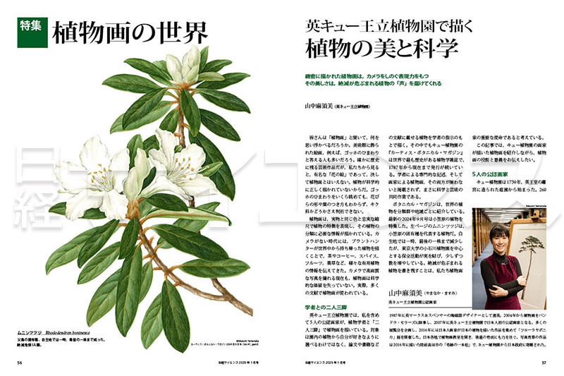 英キュー王立植物園で描く植物の美と科学 | 日経サイエンス