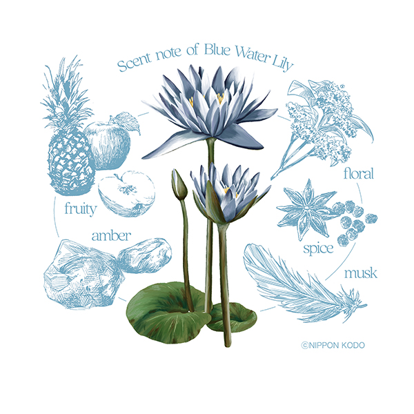 花風PLATINA ブルースイレン 小型バラ詰 | お線香 | 日本香堂公式