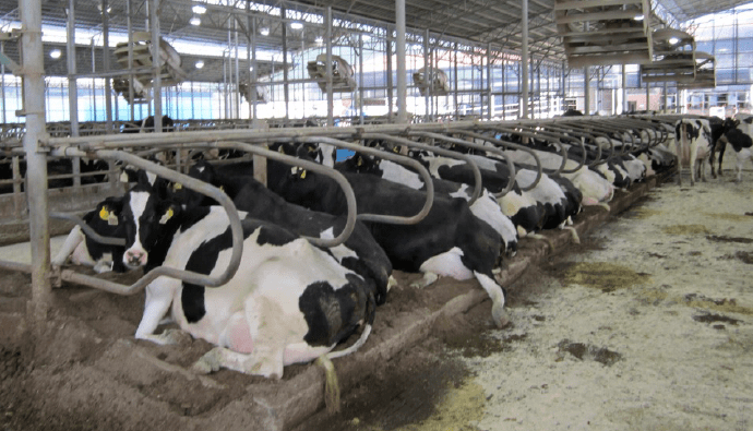 ECVサイクロン 大型送風機 | 飼料添加物 | 日曹商事株式会社 -Nisso Shoji-