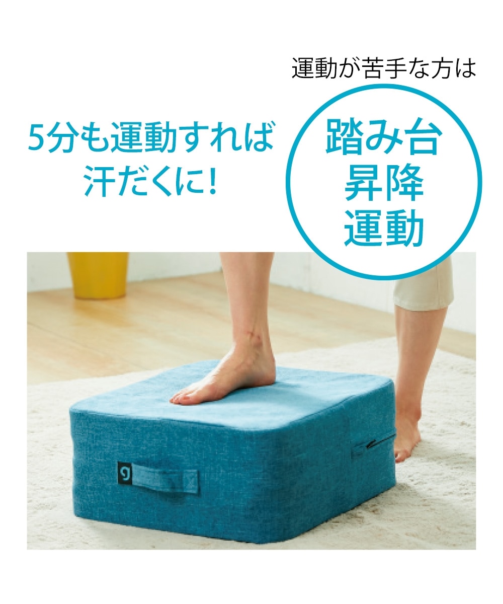 ジムテリア シェイプキューブ 通販【ニッセン】