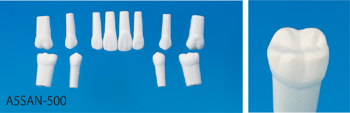 交換用パーツ｜株式会社ニッシン｜歯科模型・歯科材料のトップメーカー