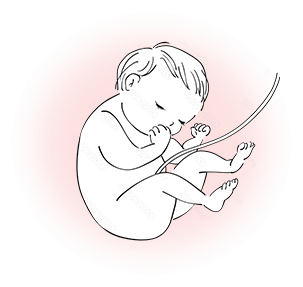 オイタス美容液 | ナチュレサプリメント＆教授の研究室-公式