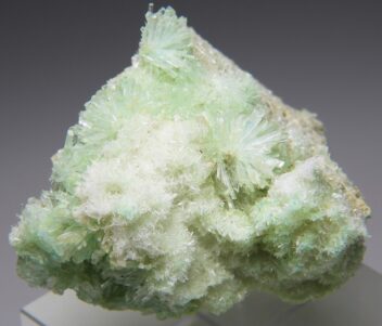 セレナイト の商品一覧- 鉱物標本・隕石標本販売のWeb専門店 エヌズ