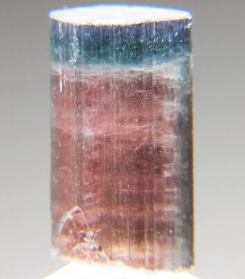 トルマリン の商品一覧- 鉱物標本・隕石標本販売のWeb専門店 エヌズ