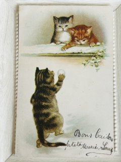 Snowdrop Postcards アンティークポストカード専門店 【猫 イラスト】