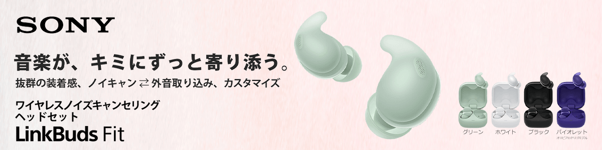 SONY フルワイヤレスイヤホン『LinkBuds Fit WFL910N』｜ソフマップ
