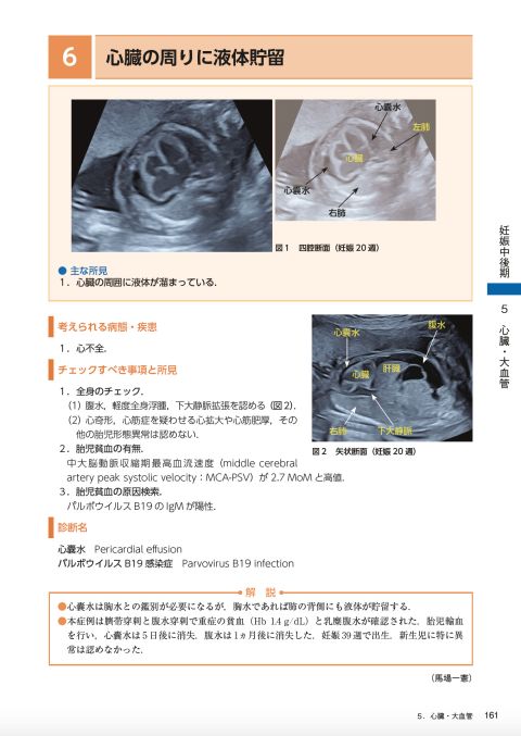 所見から探る 産科 超音波診断｜株式会社総合医学社