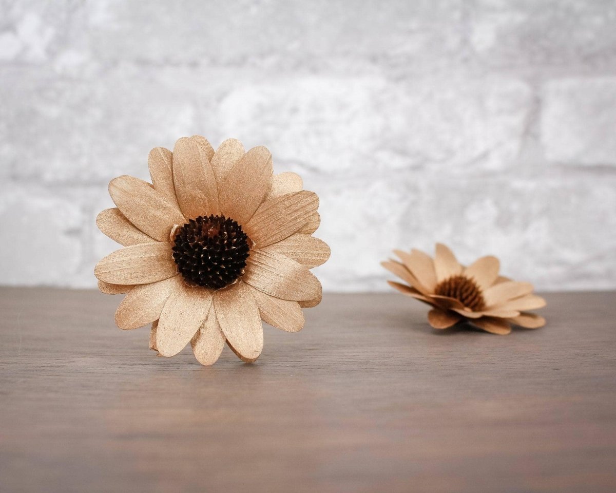 Mystery Birch Wood Flowers (10 Pack) – Sola Wood Flowers