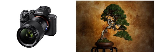 35mmフルサイズ ミラーレス一眼カメラ『α7R II』を発売 | プレス