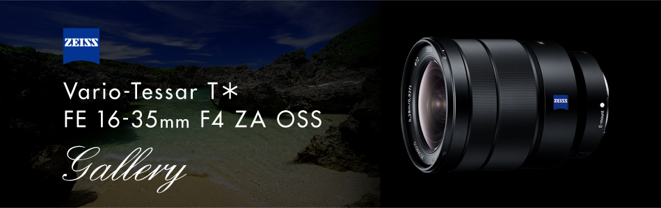 Vario-Tessar T* FE 16-35mm F4 ZA OSS 特長 | デジタル一眼カメラα