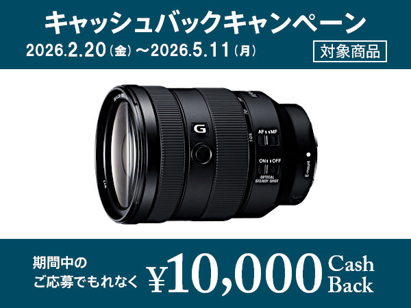 SEL24105G 購入 | デジタル一眼カメラ α：アルファ | ソニー