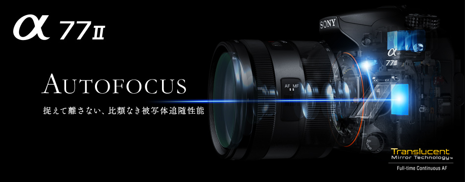 α77 II 特長 : 生まれ変わったAFシステム | デジタル一眼カメラα