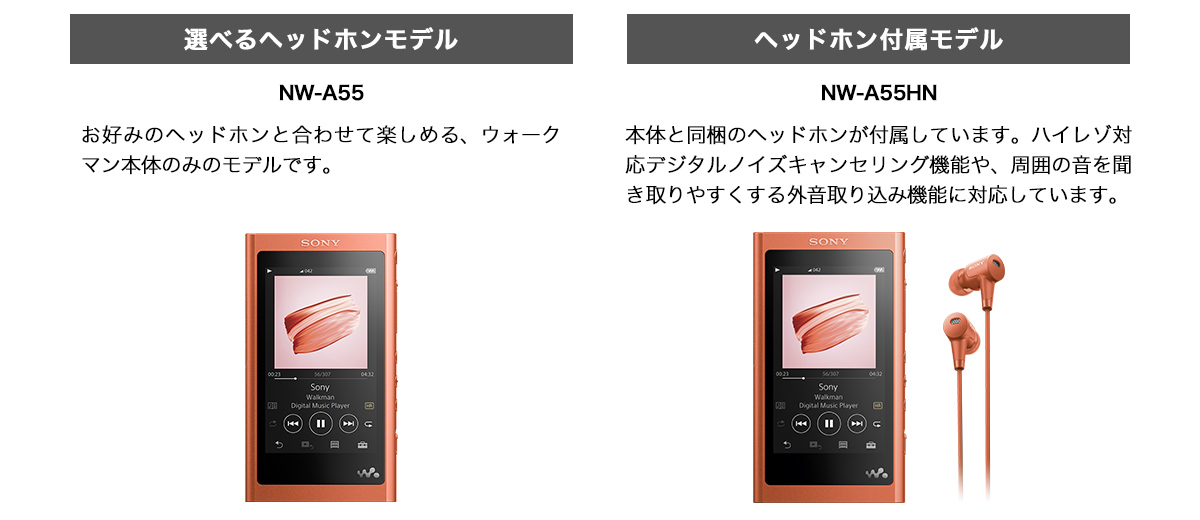 NW-A50Series SONY ウォークマン ブルー ケース付き NW-A50シリーズ