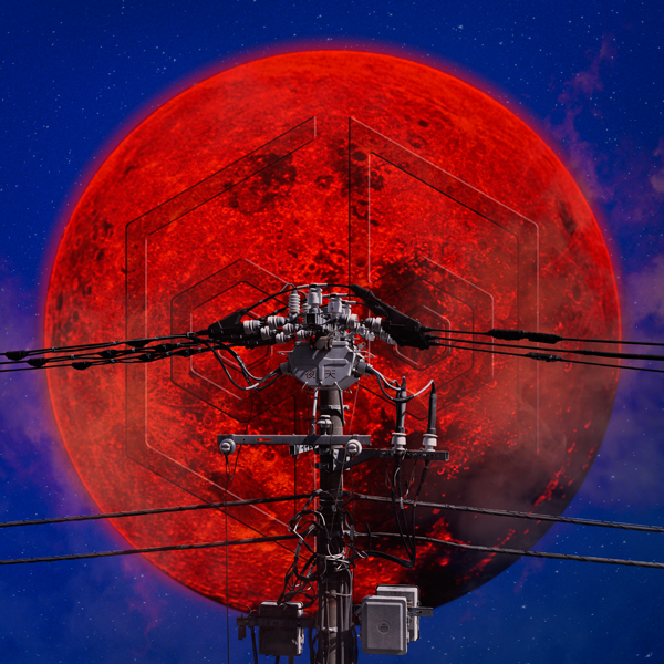 夜天【完全生産限定盤】 | 女王蜂 | ソニーミュージックオフィシャルサイト