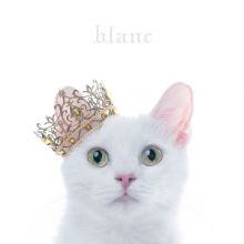 Aimer BEST SELECTION “blanc” | BEST SELECTION “noir”