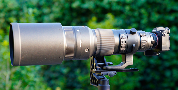 SIGMA 500mm F4 SPORTS canon-mount tested on the Sony (Gustav