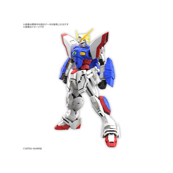 4573102685582_1_grande.jpg?v=