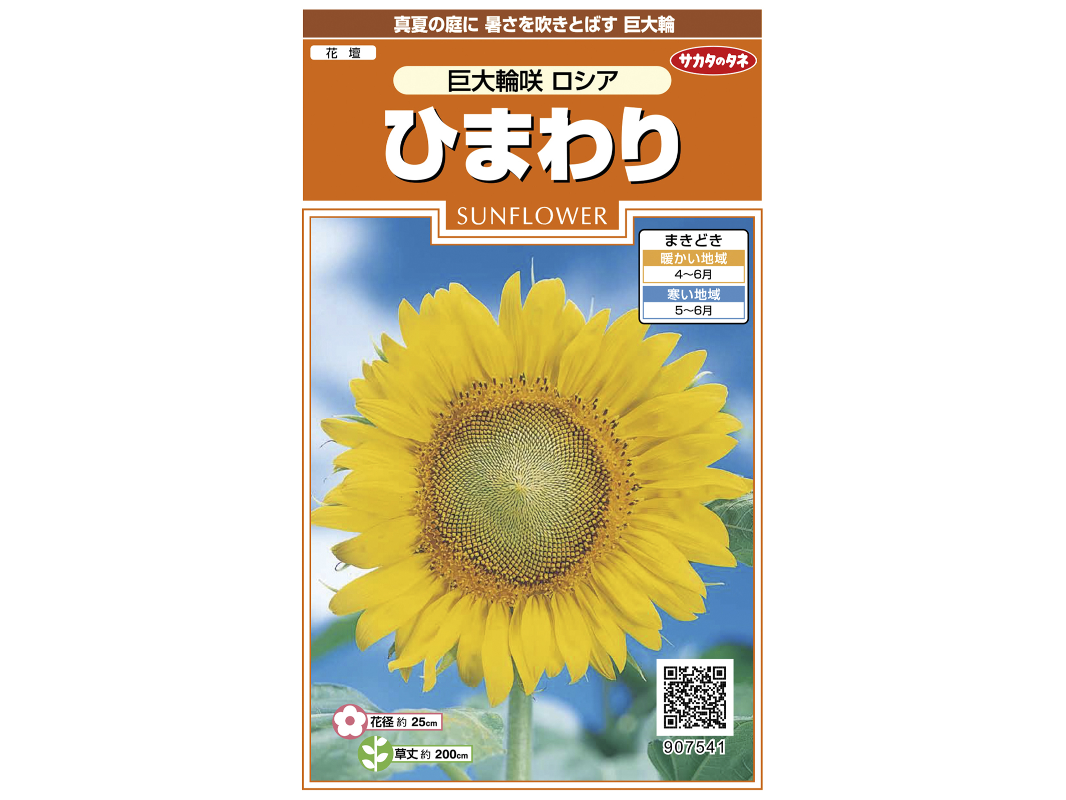 植物の種 ヒマワリ（10袋）