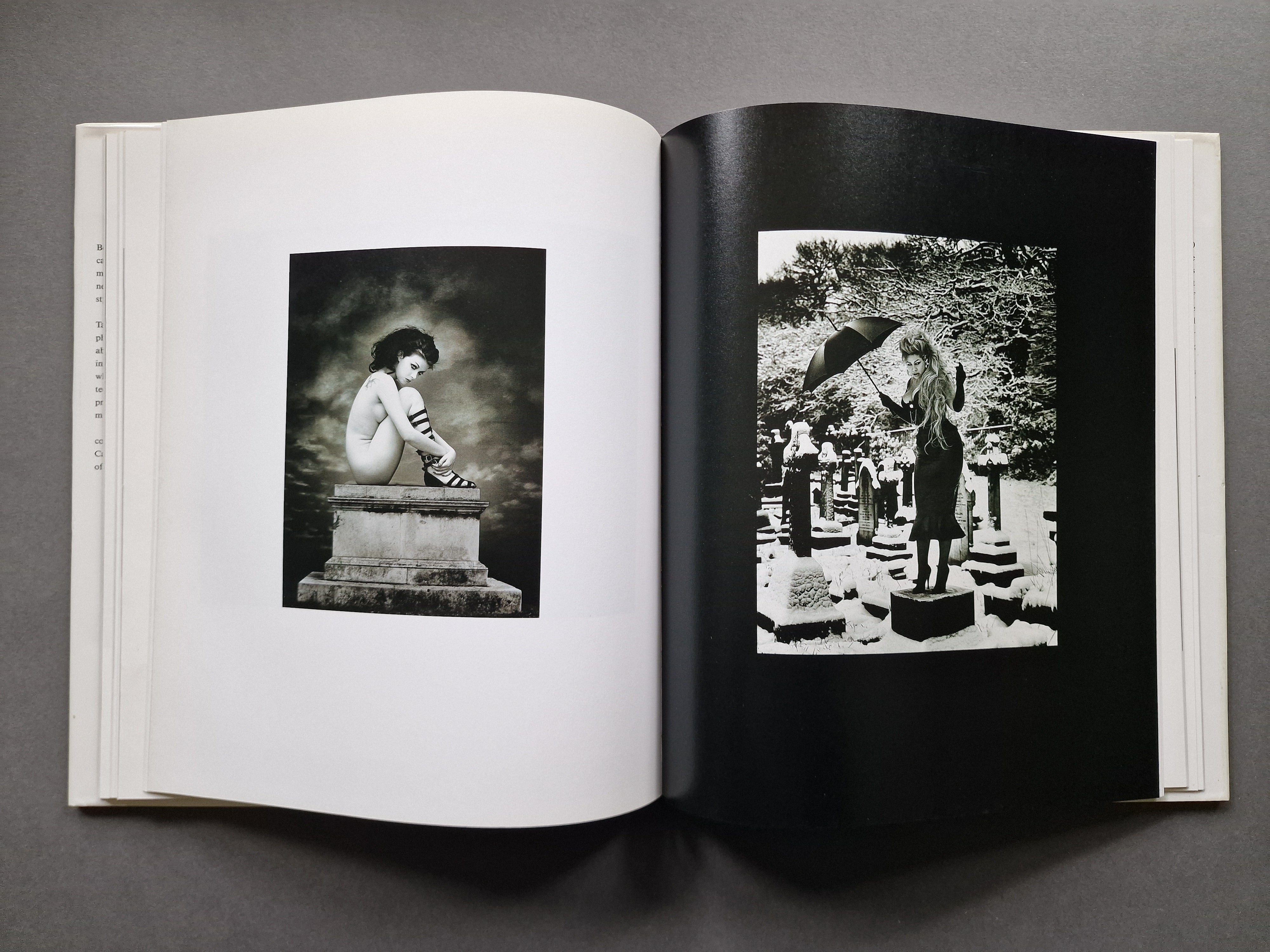 Buy The Dark Summer by Bob Carlos Clarke Online – Setanta Books