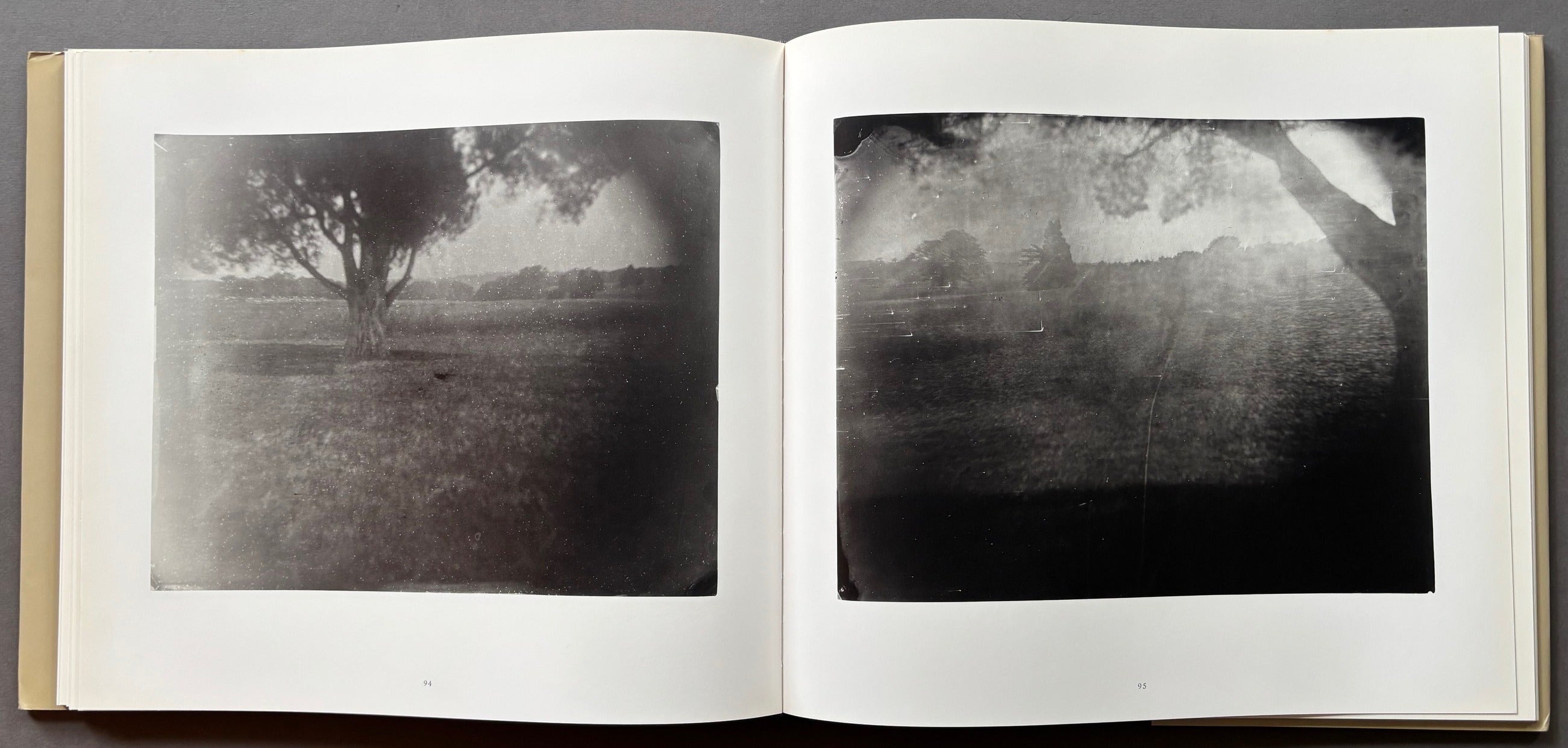 Buy What Remains by Sally Mann – Setanta Books