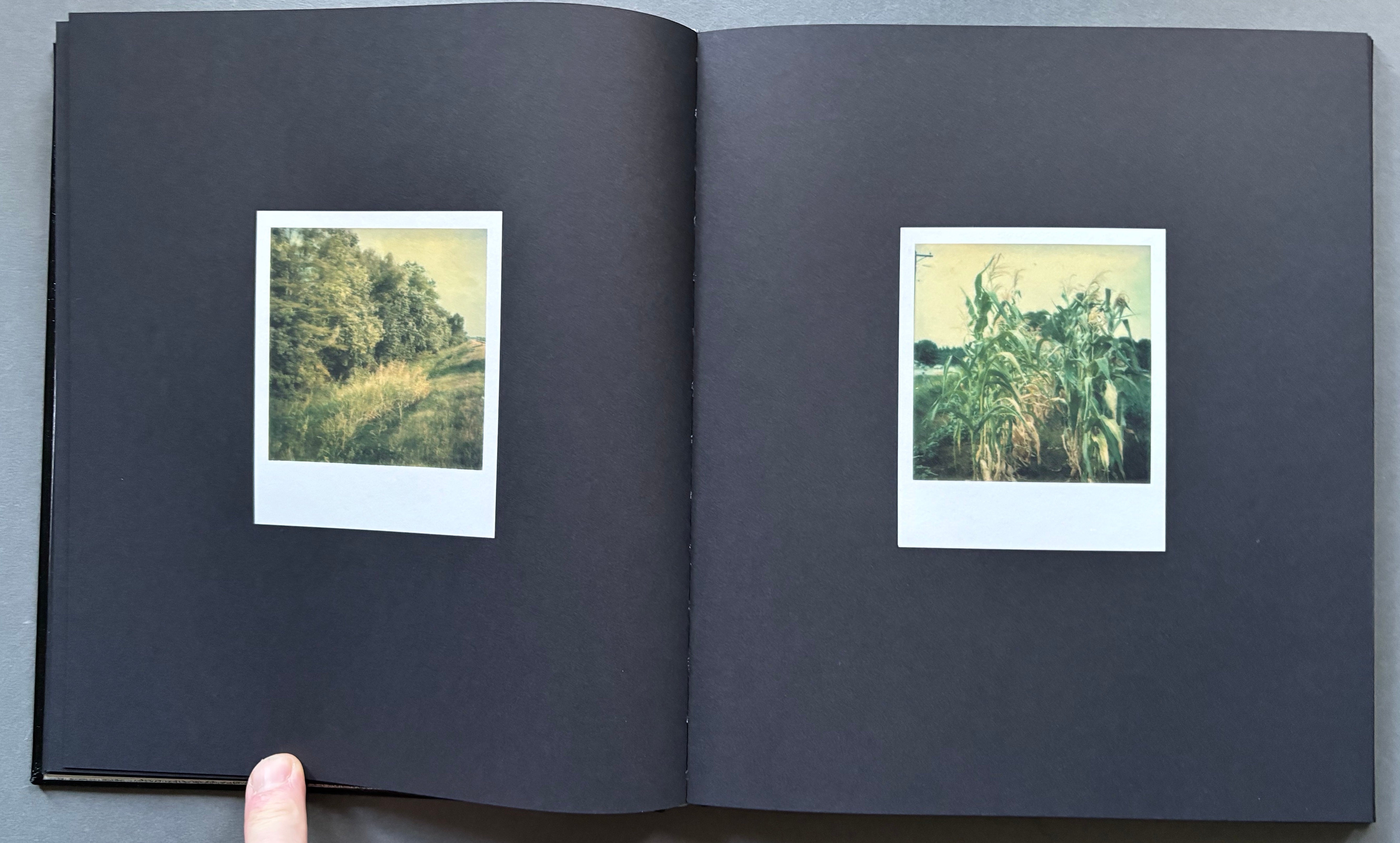 Buy Polaroid SX-70 by William Eggleston online. – Setanta Books