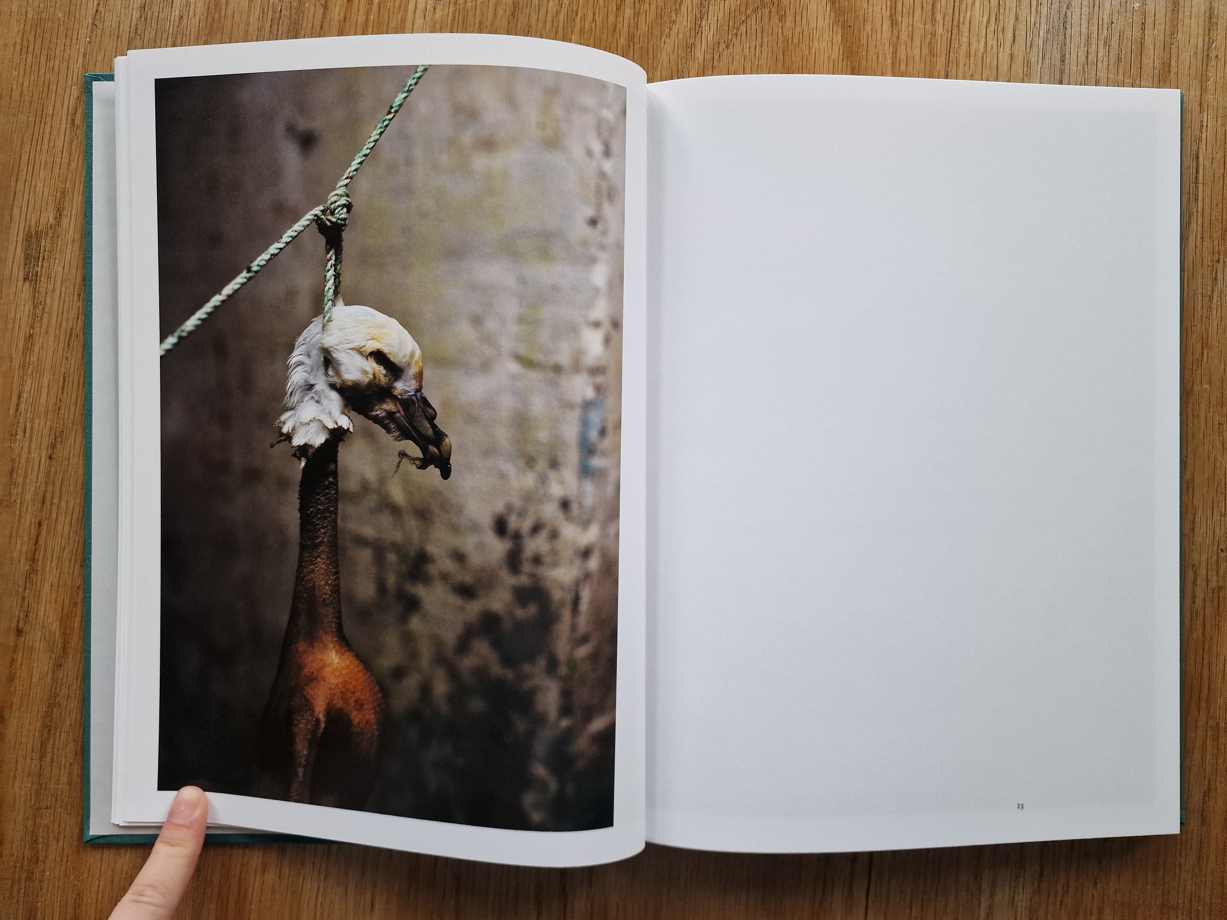 Buy Atlantic Cowboy by Andrea Gjestvang Online – Setanta Books