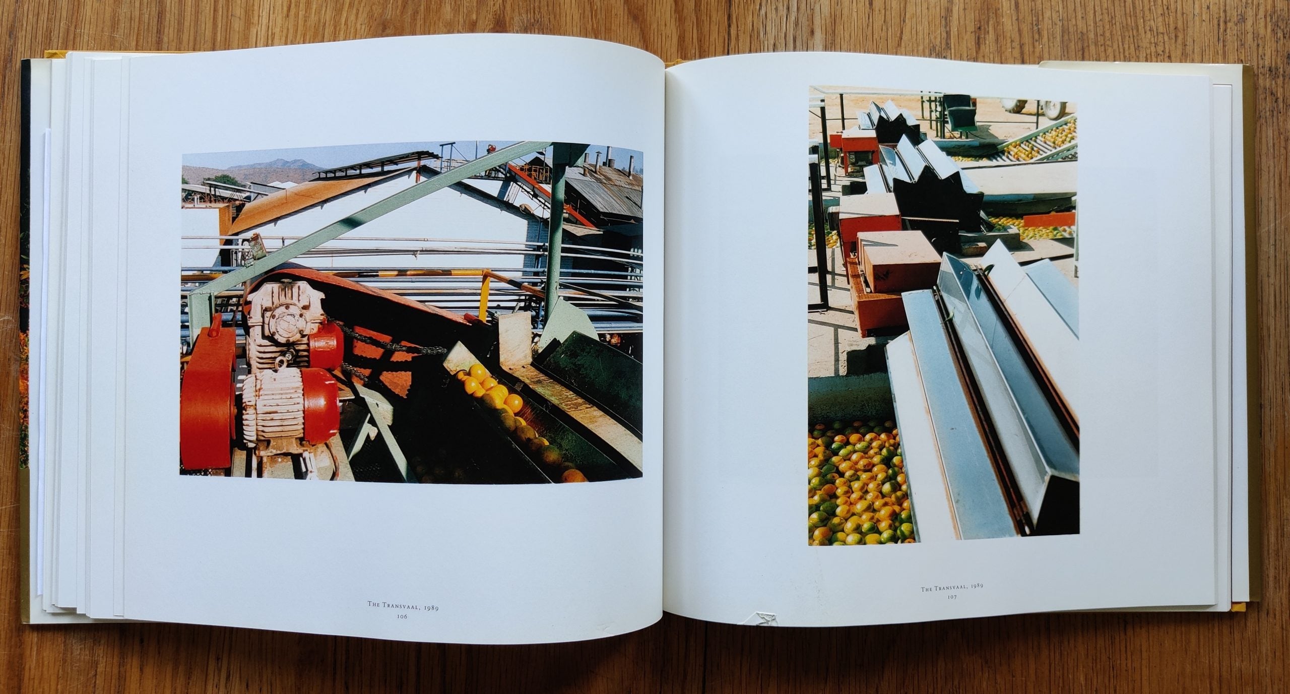 Ancient and Modern by William Eggleston | Photography | Setanta Books