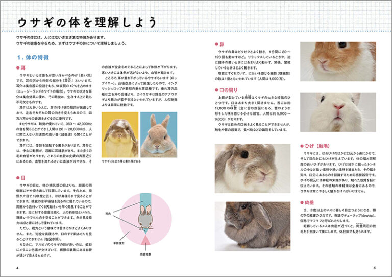 新版 よくわかるウサギの健康と病気 | 株式会社誠文堂新光社