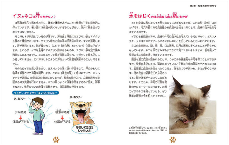 イヌとネコの体の不思議 | 株式会社誠文堂新光社