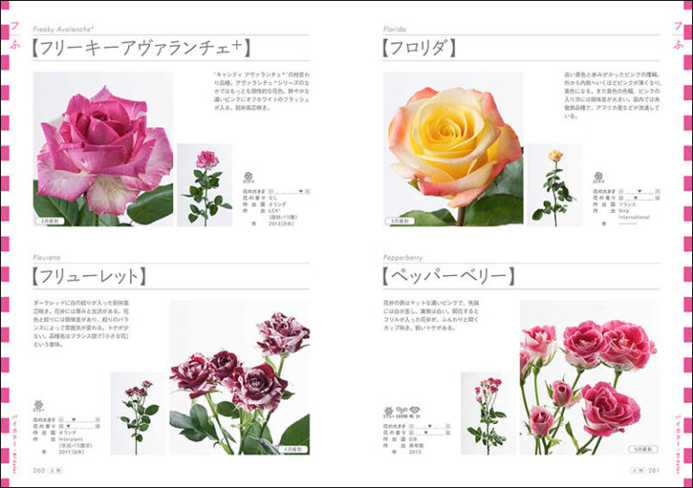 切り花 バラ図鑑1000 上巻 | 株式会社誠文堂新光社