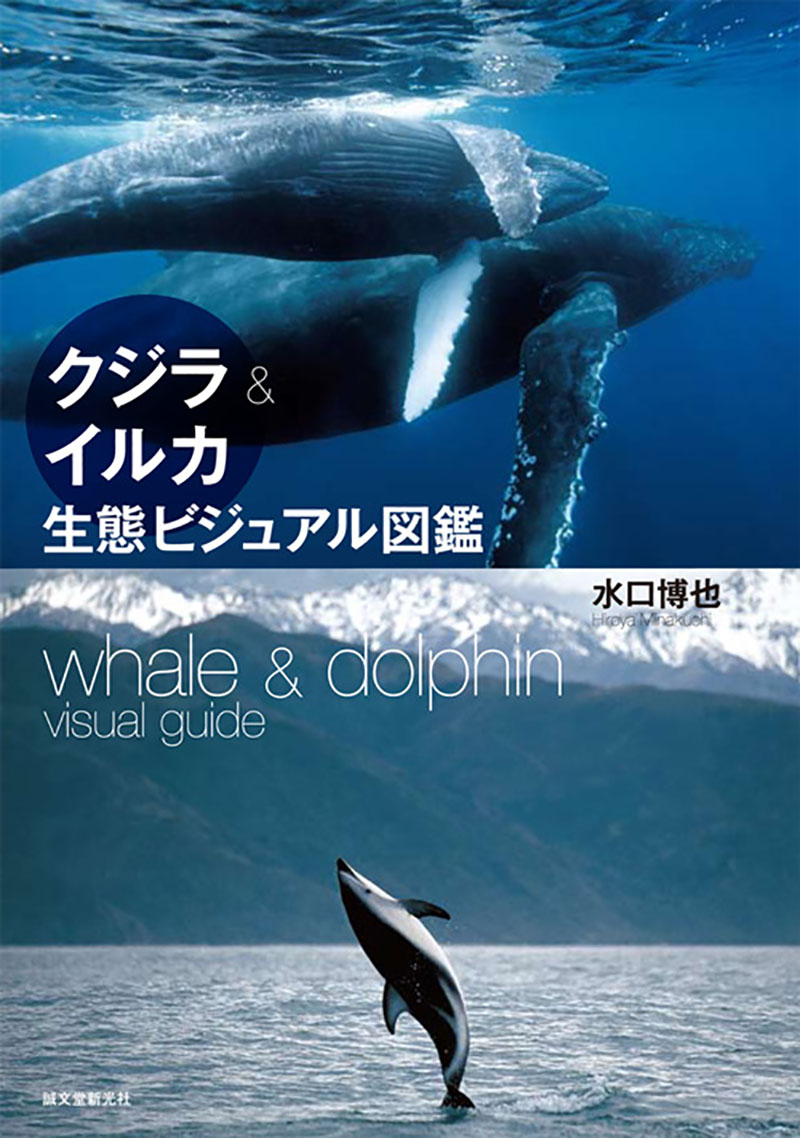 クジラ&イルカ生態ビジュアル図鑑 | 株式会社誠文堂新光社