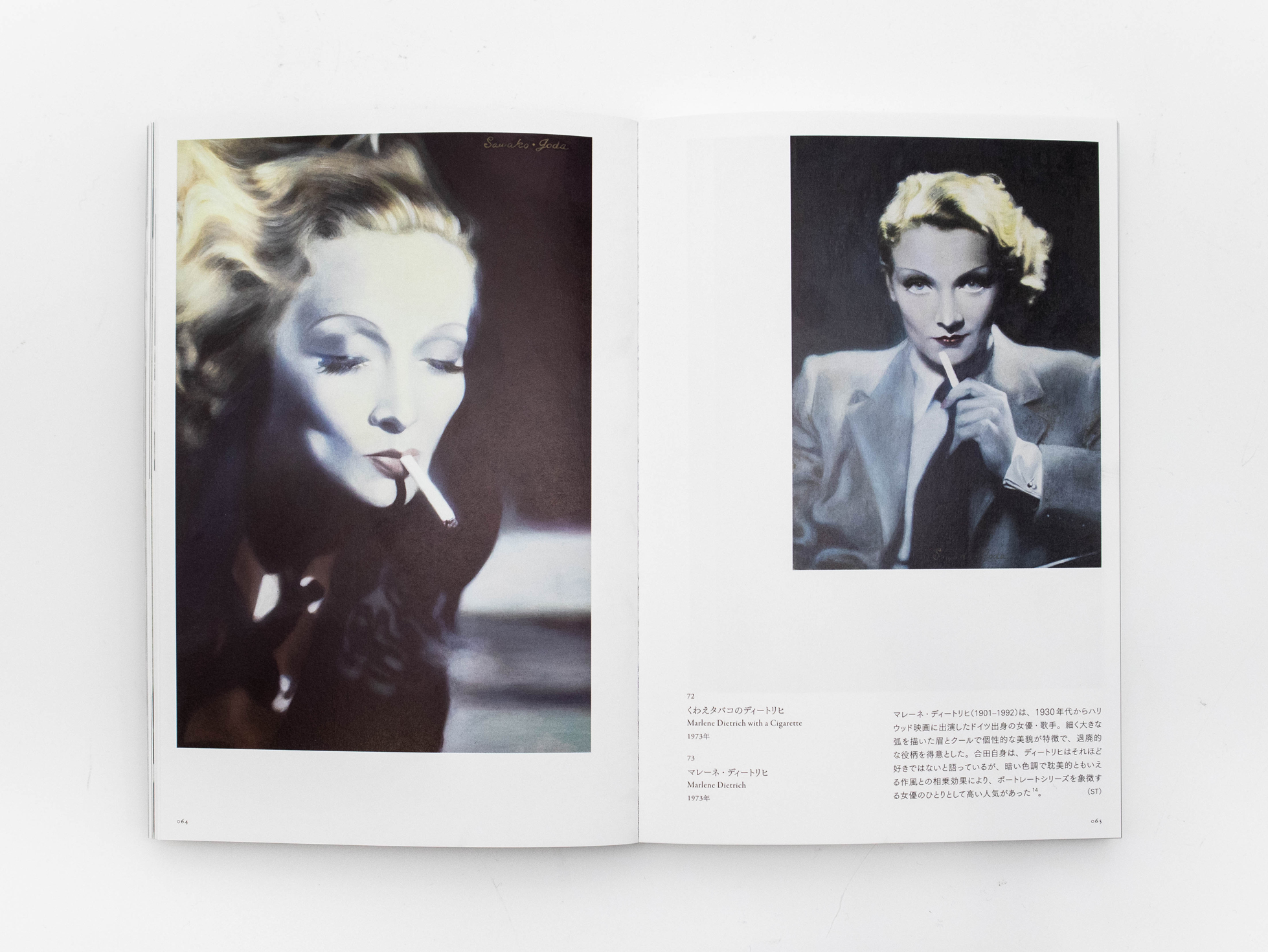 合田佐和子 帰る途もつもりもない｜青幻舎 SEIGENSHA Art Publishing, Inc.