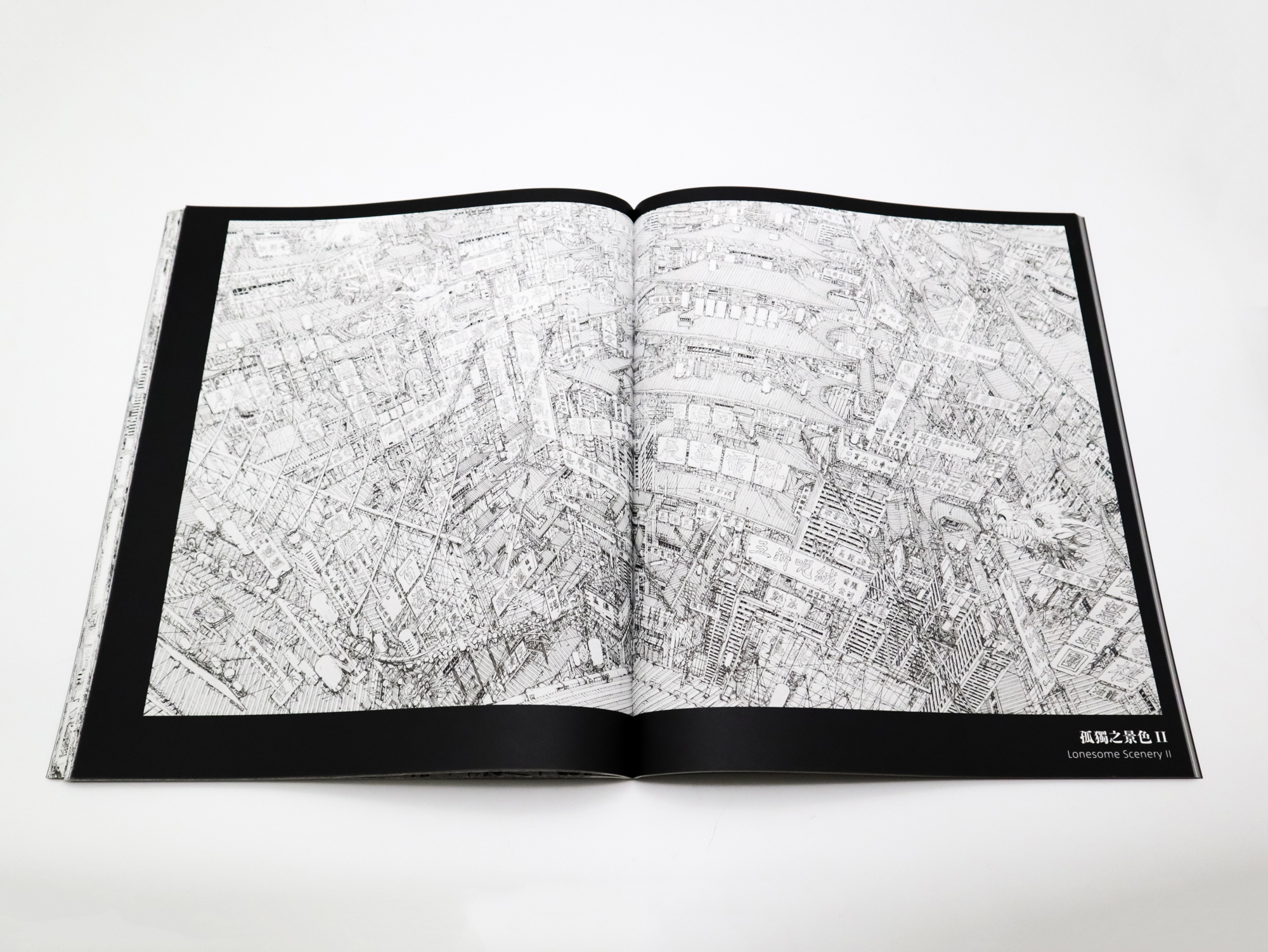 田島大介 超越界限 DAISUKE TAJIMA BEYOND THE LINES｜青幻舎