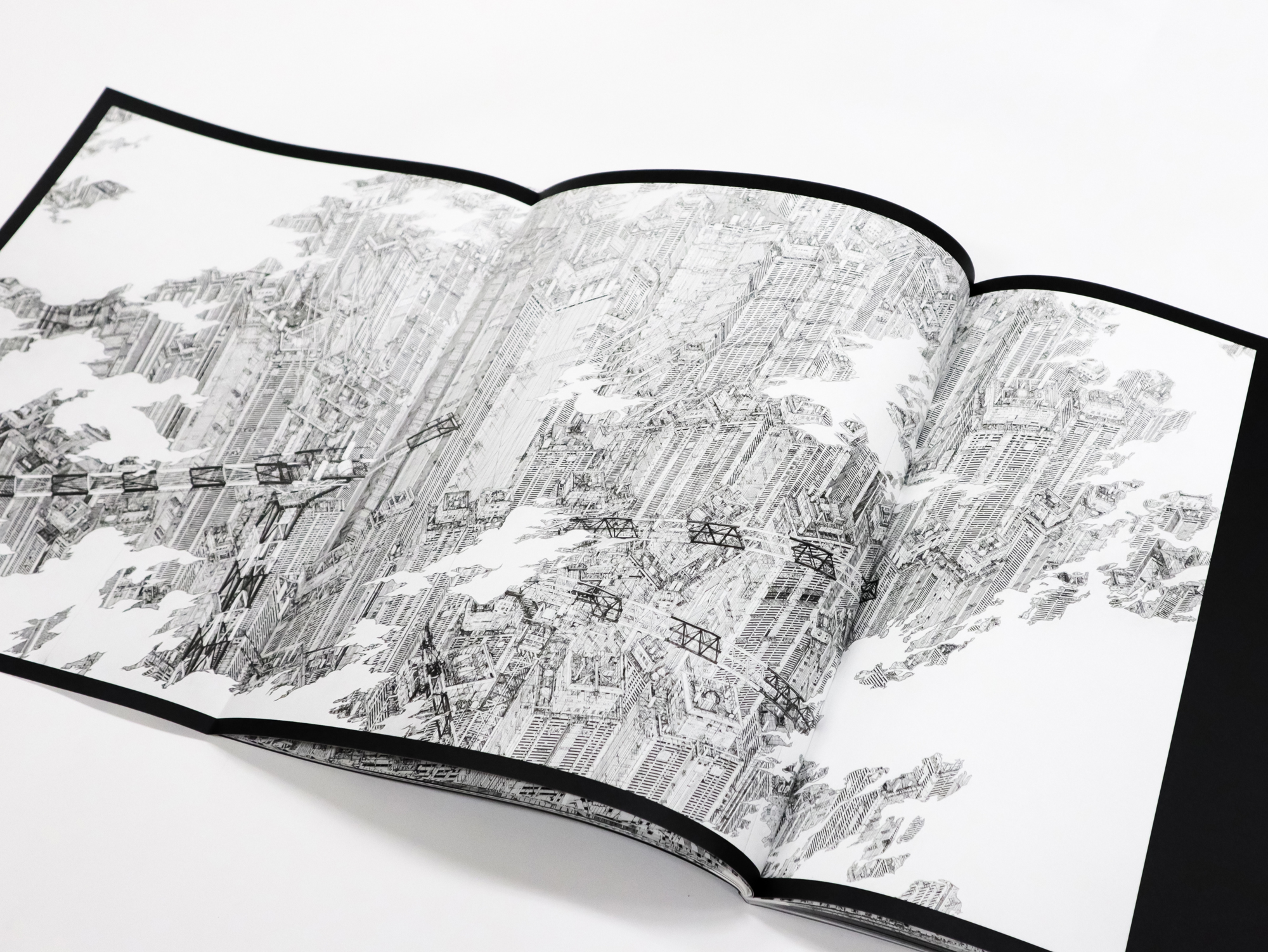 田島大介 超越界限 DAISUKE TAJIMA BEYOND THE LINES｜青幻舎