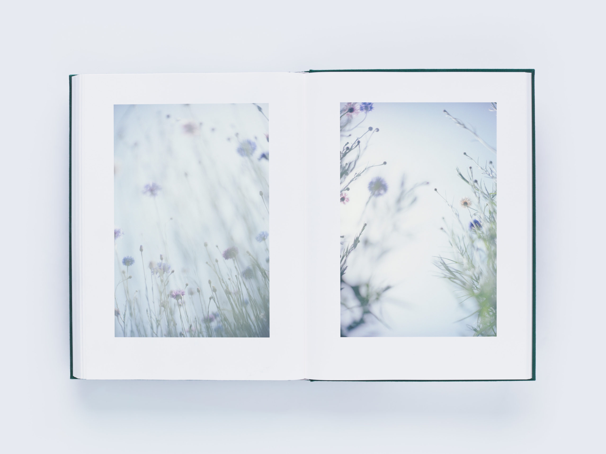 LUMIÈRE ルミエール｜青幻舎 SEIGENSHA Art Publishing, Inc.