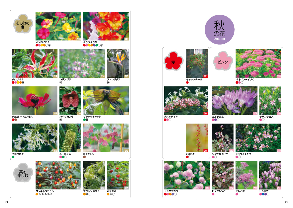 色・季節でひける 花の事典820種｜西東社｜『人生を楽しみ・今を楽しむ