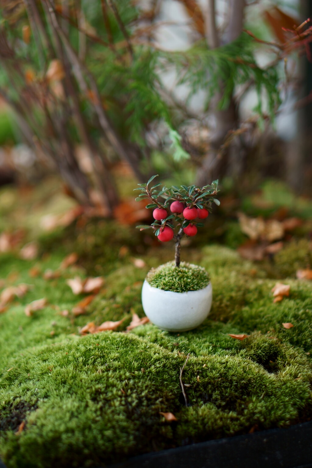 石木花ツアー＆ワークショップ「秋編」予約開始。｜石木花｜SEKIBOKKA