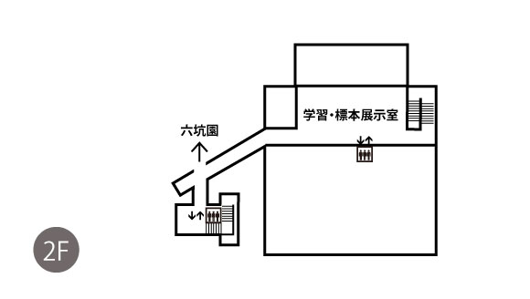 フロアマップ | いわき市石炭・化石館「ほるる」