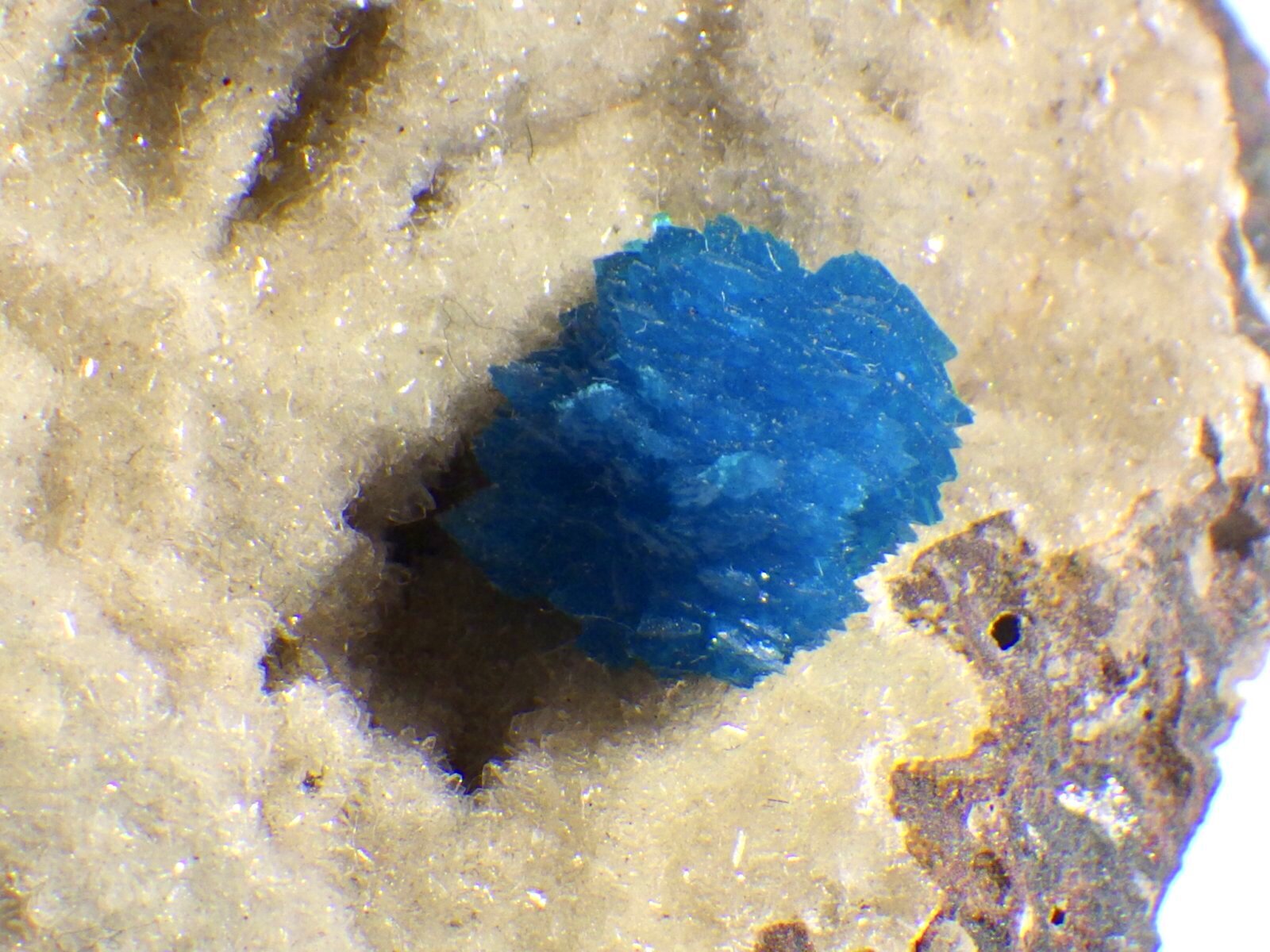 母岩付ペンタゴナイト／カバンサイト - セルフクリエイション