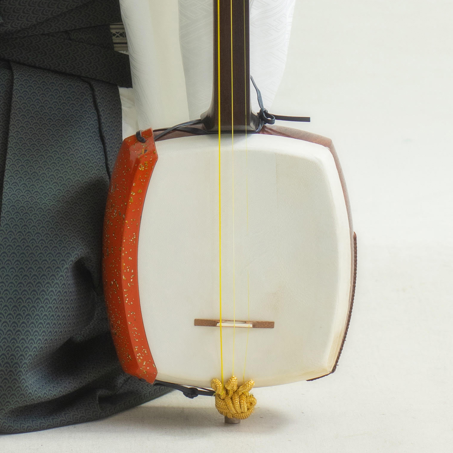 伝統音楽デジタルライブラリー