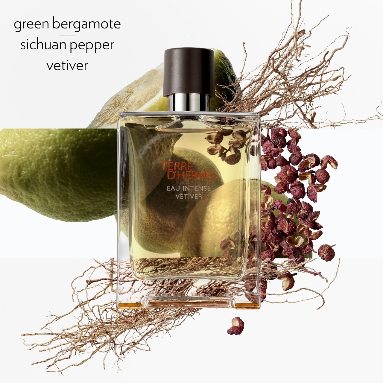 Terre d'Hermes Eau Intense Vétiver Eau de Parfum - HERMÈS