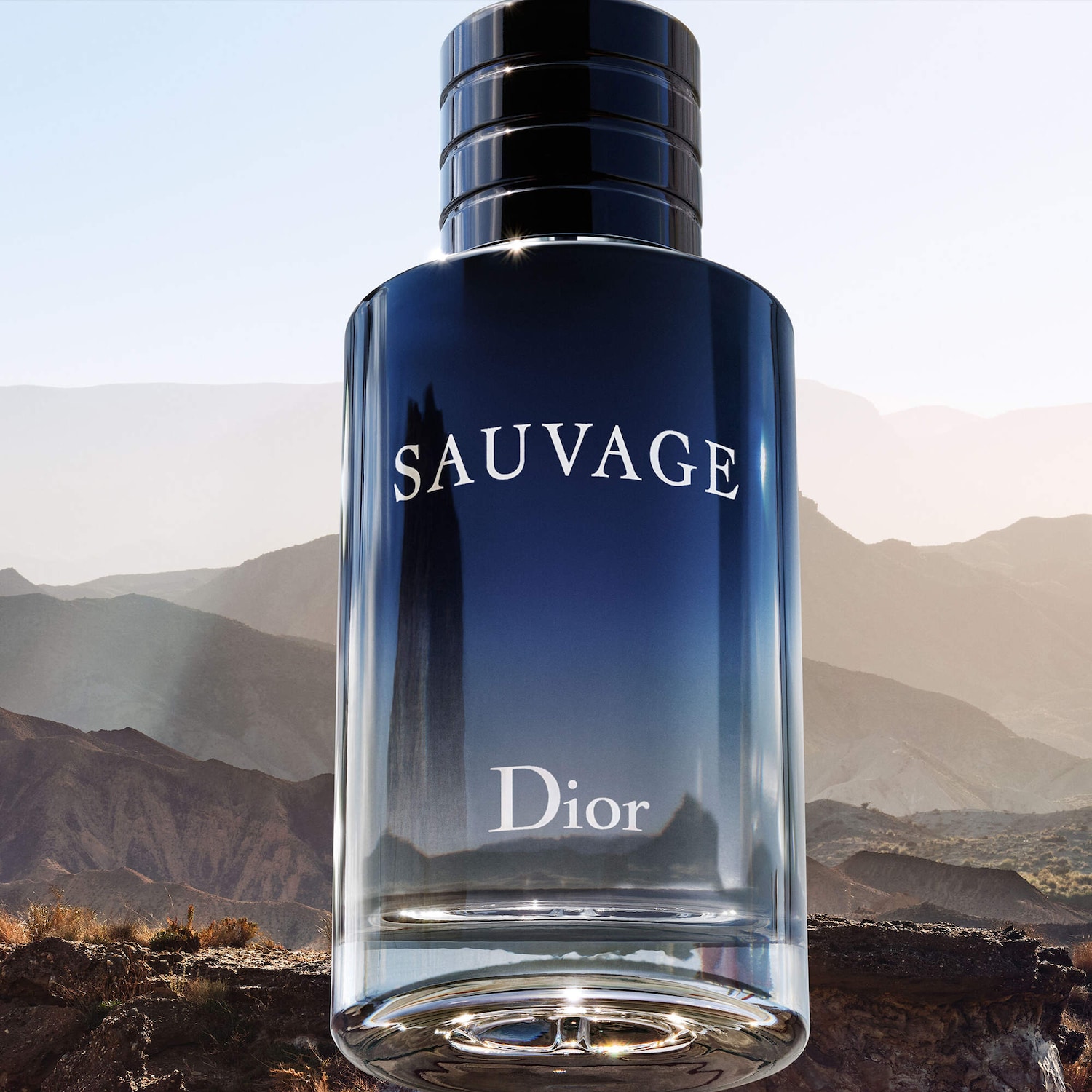 Sauvage Eau de Toilette - Dior | Sephora