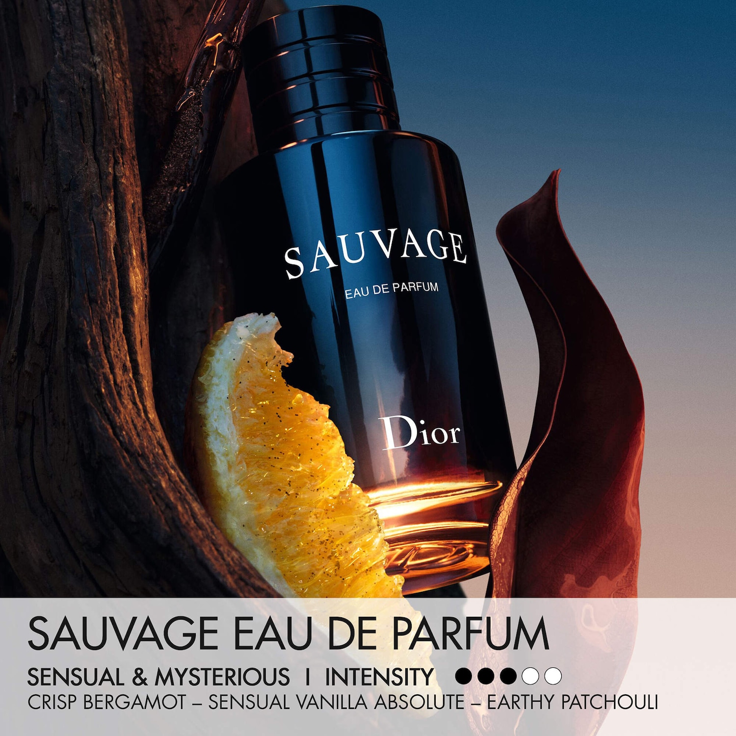 Dior SAUVAGE PARFUM 香水 100ml DIOR SAUVAGE PARFUM By DIOR 3.4 fl