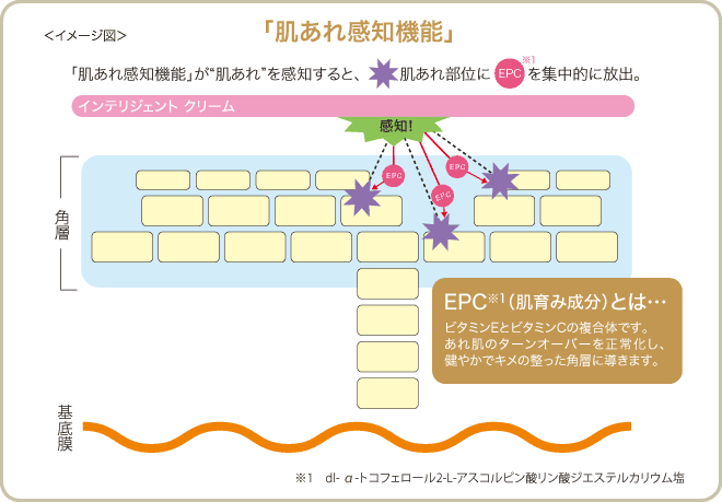進化するスキンケア エルテオシリーズ | きれいのレシピ by セプテム