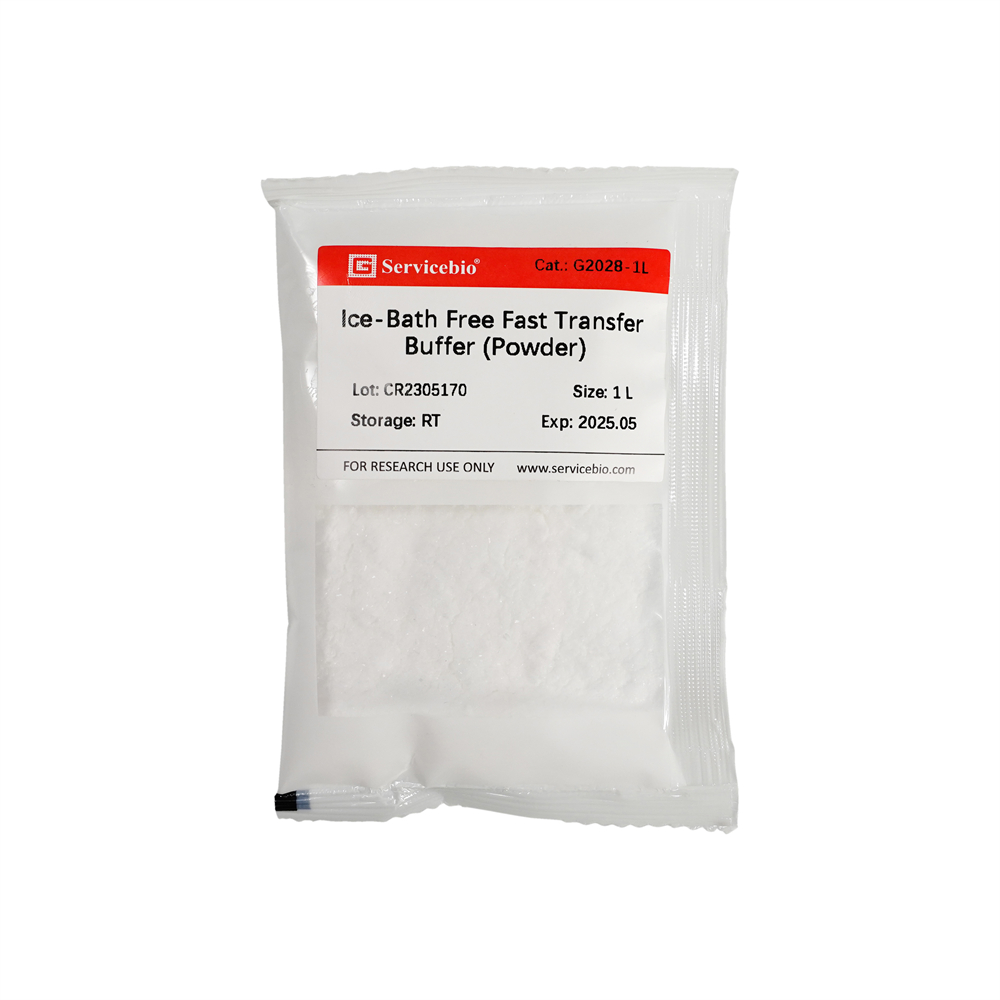 Ice-Bath Free Fast Transfer Buffer (Powder) | Products | Servicebio