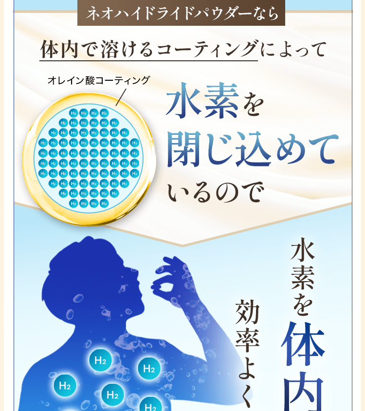 サン・クラルテ製薬ACCELコエンザイム Q10プラス - サン・クラルテ製薬