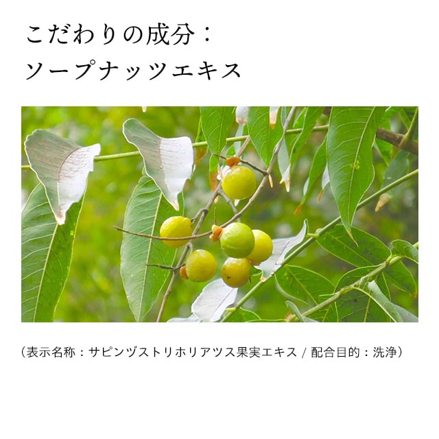 ドモホルンリンクルの『洗顔石鹸』の商品詳細と使い方｜基礎化粧品