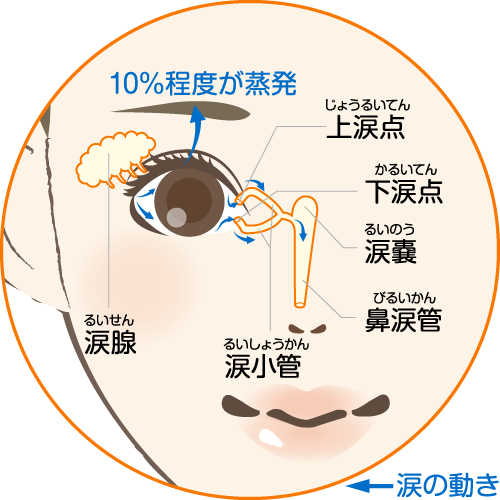 涙点プラグについて｜さくやま眼科 | 西多摩郡日の出町の眼科 | イオン