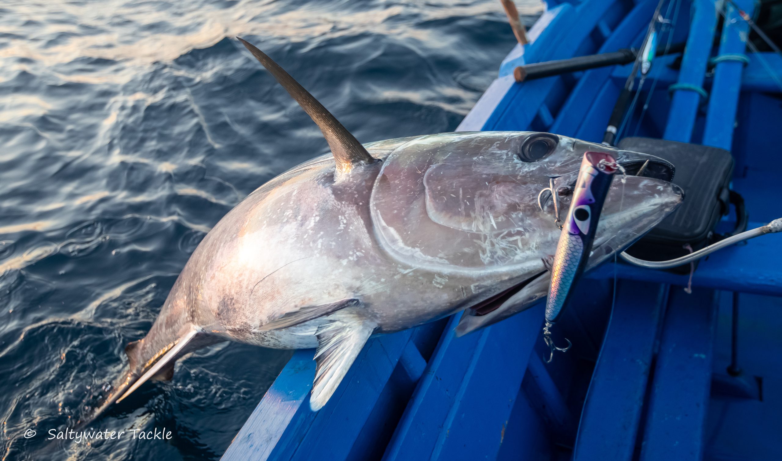 CB One Bazoo 220 - Saltywater Tackle Inc.