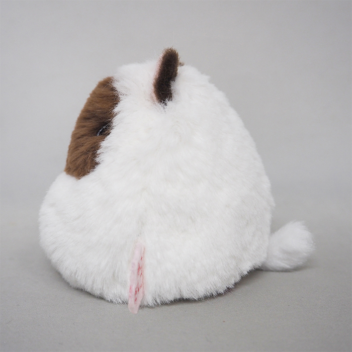 ヒマラヤン｜三英貿易株式会社